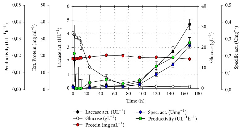 Plackett-Burman Design for rGILCC1 Laccase Activity Enhancement in <i>Pichia pastoris</i>: Concentrated Enzyme Kinetic Characterization.