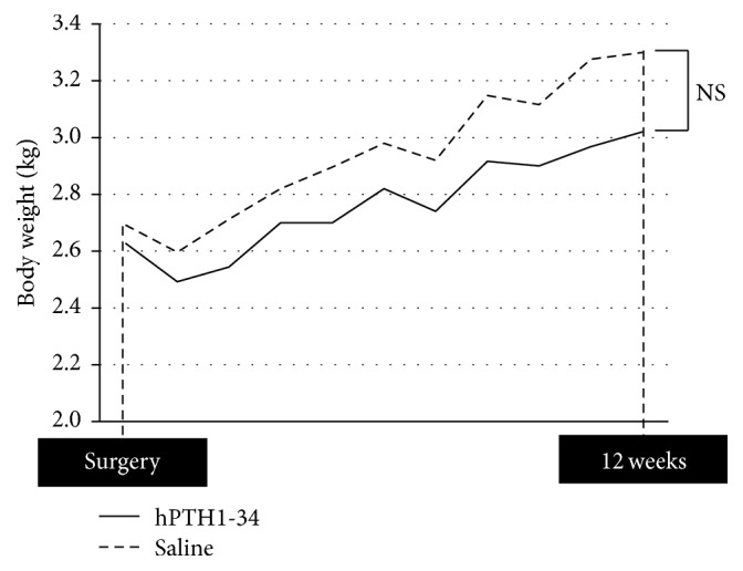 Feasibility and Efficacy of Autologous Bone Marrow Aspirate Transplantation Combined with Human Parathyroid Hormone 1-34 Administration to Treat Osteonecrosis in a Rabbit Model.