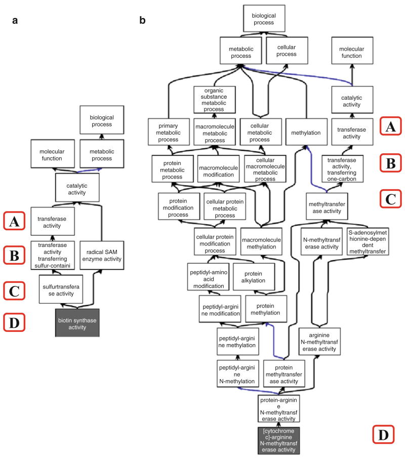 Evaluating Functional Annotations of Enzymes Using the Gene Ontology.