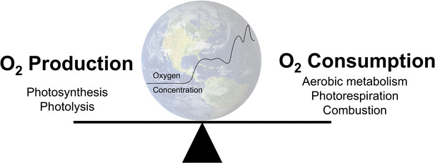 The human physiological impact of global deoxygenation.