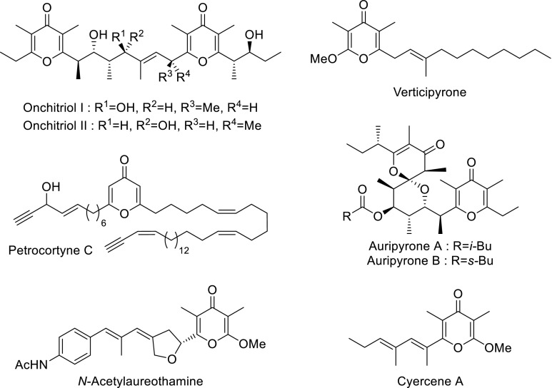 Synthesis of <i>γ</i>-pyrones via decarboxylative condensation of <i>β</i>-ketoacids.