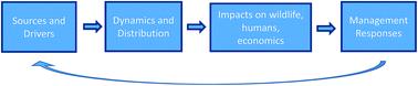 A risk framework for tackling marine debris