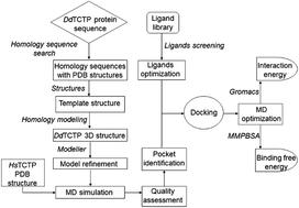 Identification of novel inhibitors of the translationally controlled tumor protein (TCTP): insights from molecular dynamics†‡