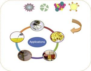 Support engineering: relation between development of new supports for immobilization of lipases and their applications