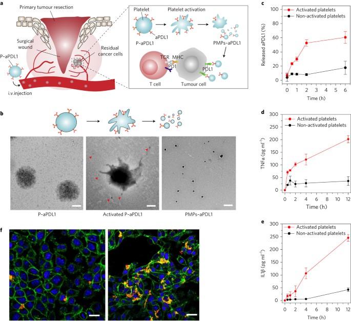 In situ activation of platelets with checkpoint inhibitors for post ...