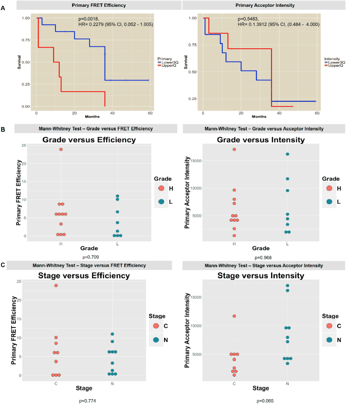 Time resolved amplified FRET identifies protein kinase B activation state as a marker for poor prognosis in clear cell renal cell carcinoma