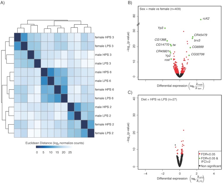 Exploring Effects of Sex and Diet on <i>Drosophila melanogaster</i> Head Gene Expression.