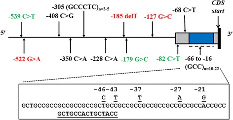 Single nucleotide polymorphisms and microsatellites in the canine glutathione S-transferase pi 1 (<i>GSTP1</i>) gene promoter.