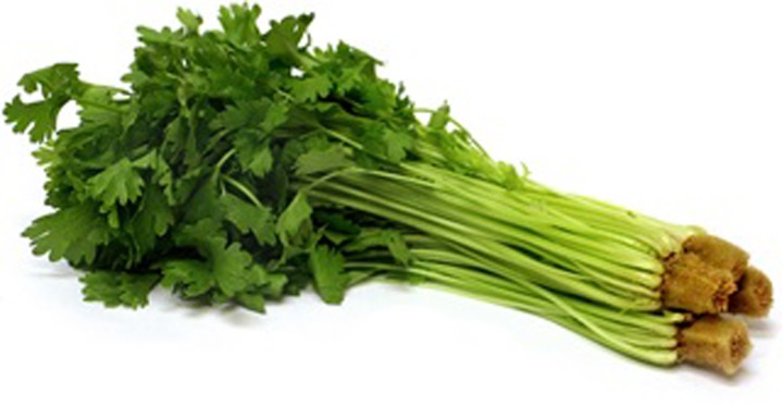 A Review of the Antioxidant Activity of Celery ( Apium graveolens L).