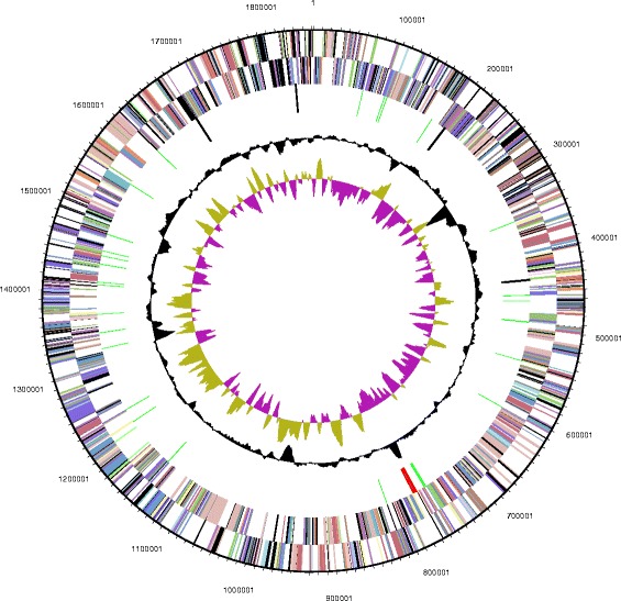 Complete genome sequence of <i>Thermotoga</i> sp. strain RQ7.