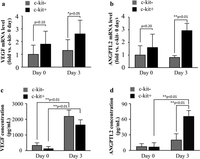 c-kit Positive Cardiac Outgrowth Cells Demonstrate Better Ability for Cardiac Recovery Against Ischemic Myopathy.