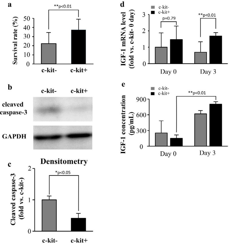 c-kit Positive Cardiac Outgrowth Cells Demonstrate Better Ability for Cardiac Recovery Against Ischemic Myopathy.
