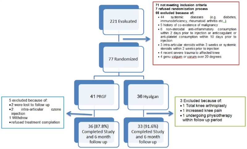 Efficacy of Intra-articular Injection of a Newly Developed Plasma Rich in Growth Factor (PRGF) Versus Hyaluronic Acid on Pain and Function of Patients with Knee Osteoarthritis: A Single-Blinded Randomized Clinical Trial.