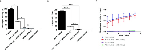 Evidence for <i>in vitro</i> antiophidian properties of aqueous buds extract of <i>Eucalyptus</i> against <i>Montivipera bornmuelleri</i> venom.