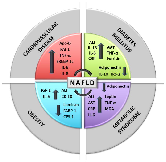 Investigating Molecular Connections of Non-alcoholic Fatty Liver Disease with Associated Pathological Conditions in West Virginia for Biomarker Analysis.