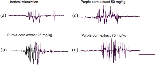 Aphrodisiac Activity of the Aqueous Crude Extract of Purple Corn ( Zea mays) in Male Rats.