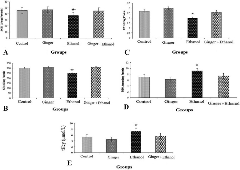 The Protective Effect of Hydroalcoholic Extract of Zingiber officinale Roscoe (Ginger) on Ethanol-Induced Reproductive Toxicity in Male Rats.