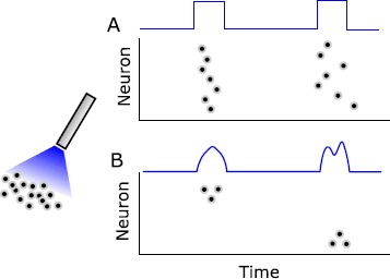 Fundamental Limits of Forced Asynchronous Spiking with Integrate and Fire Dynamics.