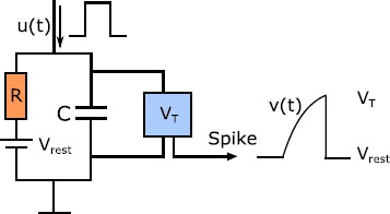 Fundamental Limits of Forced Asynchronous Spiking with Integrate and Fire Dynamics.