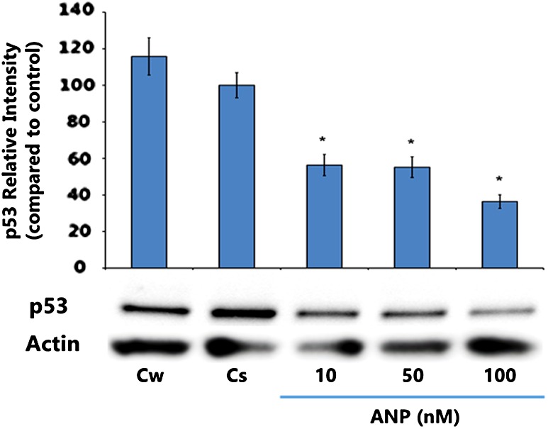 Effects of Atrial Natriuretic Peptide on p53 and Estrogen Receptor in Breast Cancer Cells.