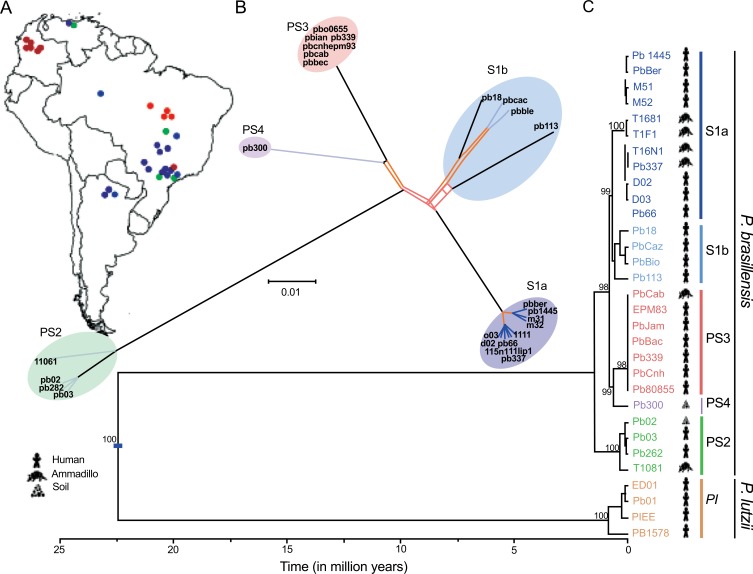 Paracoccidioidomycosis: Current Perspectives from Brazil.