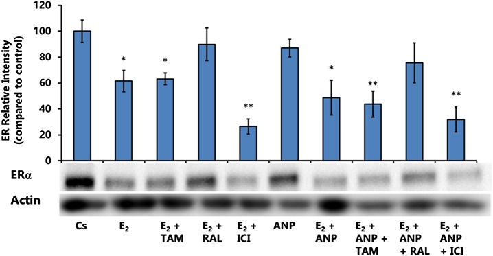 Effects of Atrial Natriuretic Peptide on p53 and Estrogen Receptor in Breast Cancer Cells.