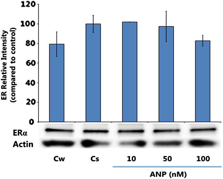 Effects of Atrial Natriuretic Peptide on p53 and Estrogen Receptor in Breast Cancer Cells.