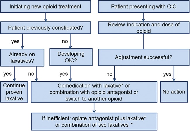 Opioid-Induced Constipation and Bowel Dysfunction: A Clinical Guideline.