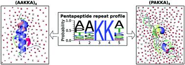 Conformational heterogeneity in tails of DNA-binding proteins is augmented by proline containing repeats†