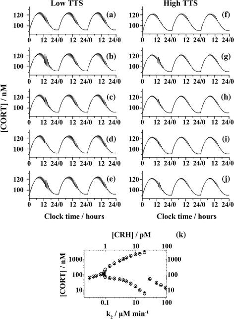 Kinetic modelling of testosterone-related differences in the hypothalamic–pituitary–adrenal axis response to stress