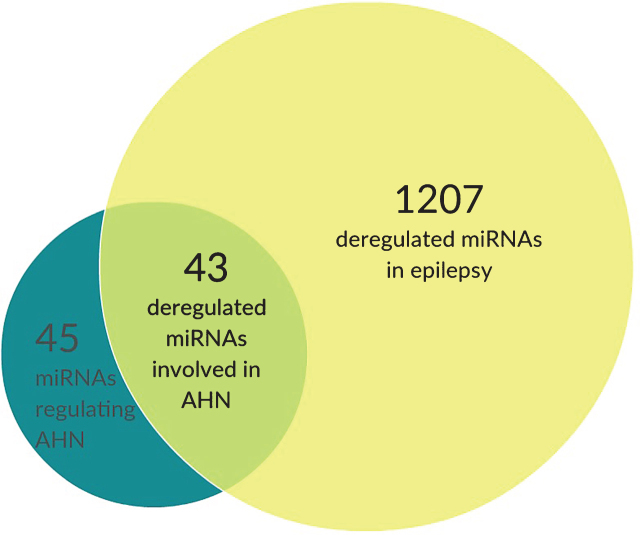 miRNA-Mediated Regulation of Adult Hippocampal Neurogenesis; Implications for Epilepsy.