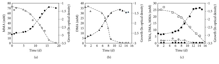 Growth Characteristics of <i>Methanomassiliicoccus luminyensis</i> and Expression of Methyltransferase Encoding Genes.