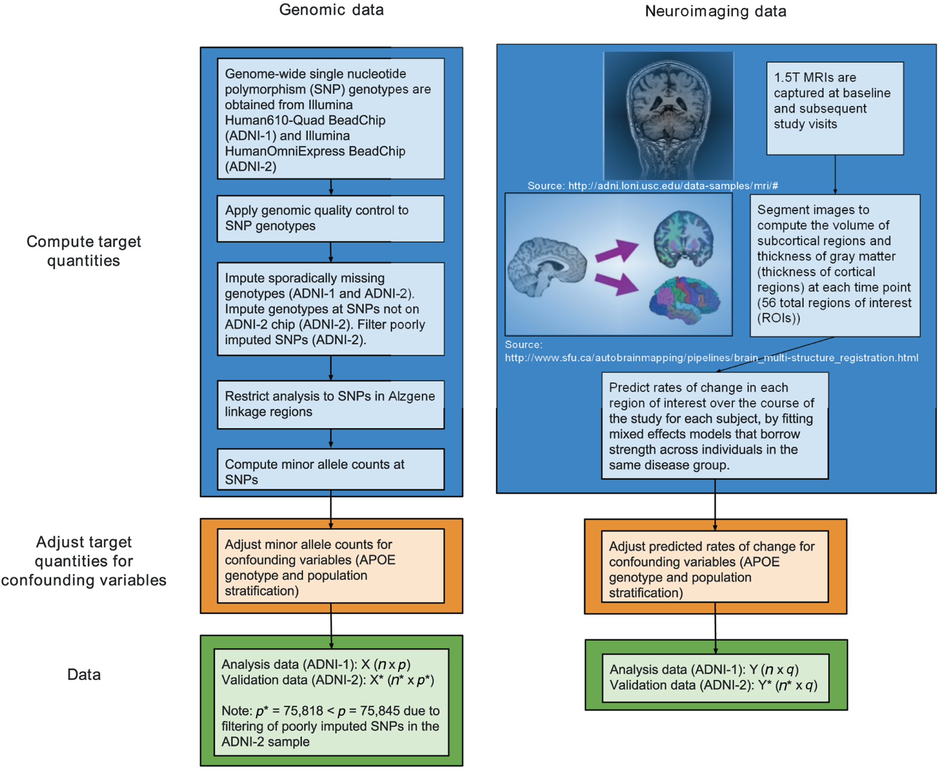 Multivariate association between single-nucleotide polymorphisms in Alzgene linkage regions and structural changes in the brain: discovery, refinement and validation.