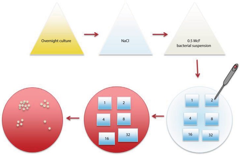 Antimicrobial characterization of silver nanoparticle-coated surfaces by "touch test" method.