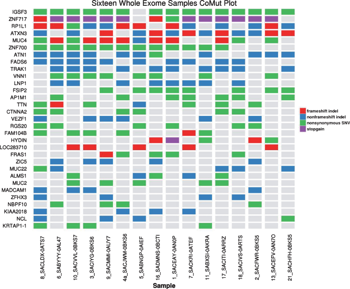 Parallel (Randomized) Phase II Evaluation of Tivantinib (ARQ197) and Tivantinib in Combination with Erlotinib in Papillary Renal Cell Carcinoma: SWOG S1107.