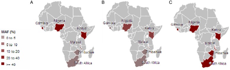 Beta-globin gene haplotypes and selected Malaria-associated variants among black Southern African populations.