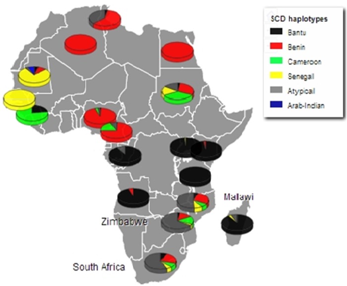 Beta-globin gene haplotypes and selected Malaria-associated variants among black Southern African populations.