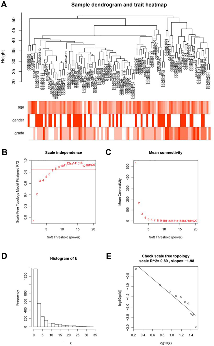 Co-expression network analysis identified six hub genes in association with progression and prognosis in human clear cell renal cell carcinoma (ccRCC)