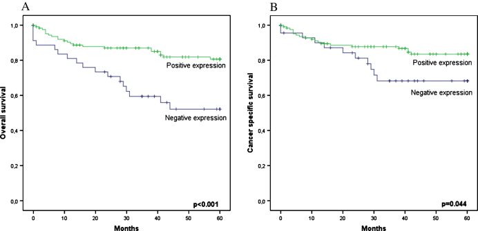 Tissue Expression of Erythropoietin Predicts Survival Rates in Clear Cell Renal Cell Carcinoma.