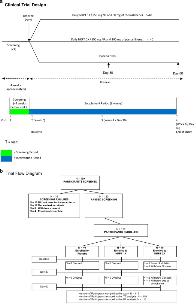 Repeat dose NRPT (nicotinamide riboside and pterostilbene) increases NAD<sup>+</sup> levels in humans safely and sustainably: a randomized, double-blind, placebo-controlled study.