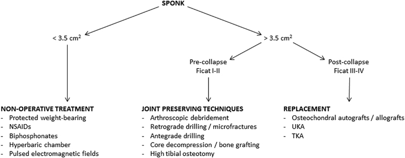 Postarthroscopy Osteonecrosis of the Knee: Current Concepts.