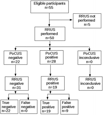 Evaluation of a short formation on the performance of point-of-care renal ultrasound performed by physicians without previous ultrasound skills: prospective observational study.