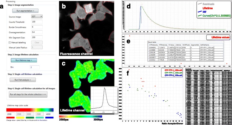 FLIM-FRET analyzer: open source software for automation of lifetime-based FRET analysis.