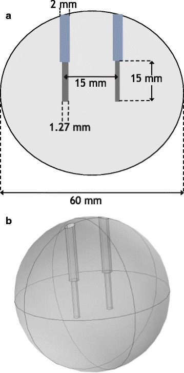 Anistropically varying conductivity in irreversible electroporation simulations.