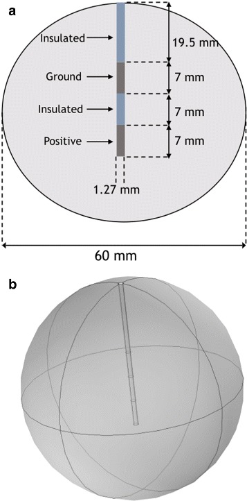 Anistropically varying conductivity in irreversible electroporation simulations.