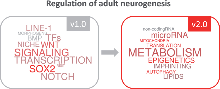 Regulation of Adult Neurogenesis 2.0 - Beyond Signaling Pathways and Transcriptional Regulators.