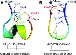 Pharmacology of predatory and defensive venom peptides in cone snails