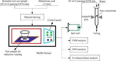 Beneficiation of an iron ore fines by magnetization roasting and magnetic separation