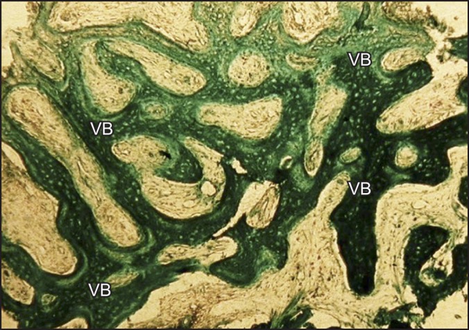 Abstract Image