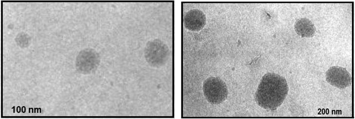 Nano-colloidal carrier <i>via</i> polymeric coating for oral delivery of isradipine.